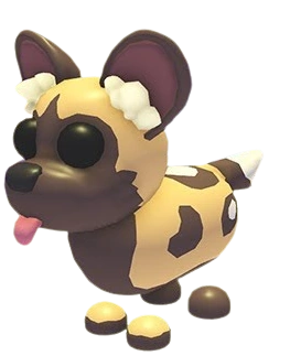 African Wild Dog
