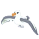 Albatross