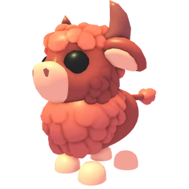 Angus Bull