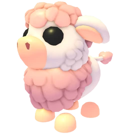 Angus Cow