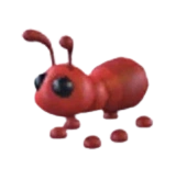 Ant
