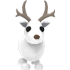 Arctic Reindeer