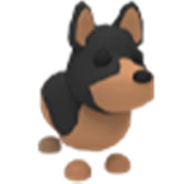 Australian Kelpie