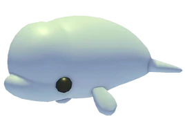 Beluga Whale