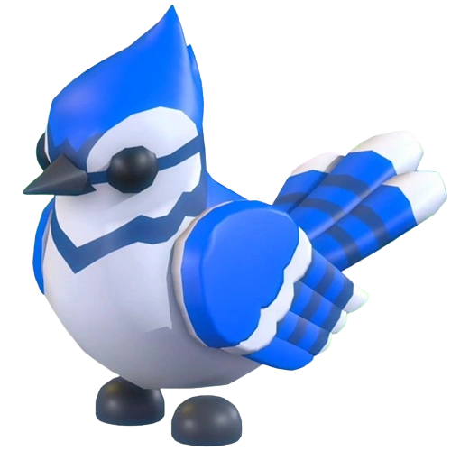 Blue Jay