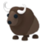 Buffalo