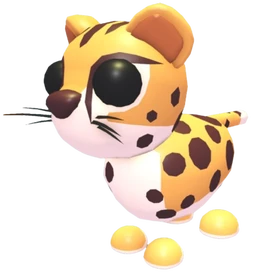 Cheetah