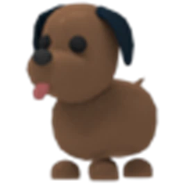 Chocolate Labrador