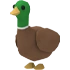 Drake
