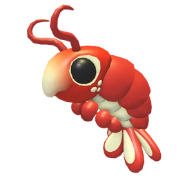 Emperor Shrimp