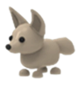 Fennec Fox