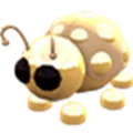 Golden Ladybug