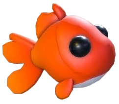 Goldfish