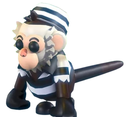 Inmate Capuchin Monkey (Pet)
