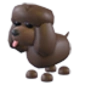 Irish Water Spaniel
