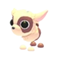 Kid Goat
