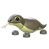 Komodo Dragon