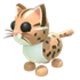 Leopard Cat