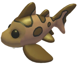 Leopard Shark