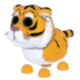 Lunar Tiger