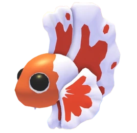 Orange Betta Fish