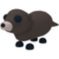 Otter