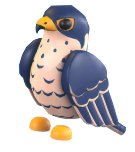 Peregrine Falcon