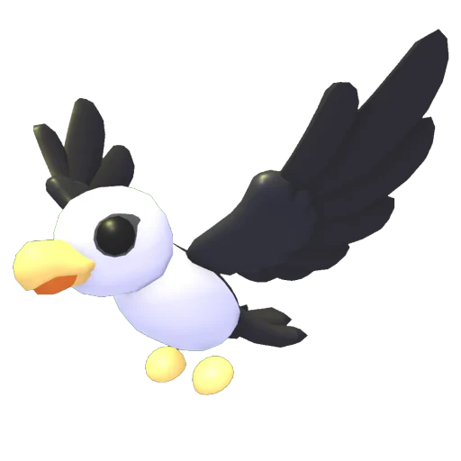 Pilot Gull