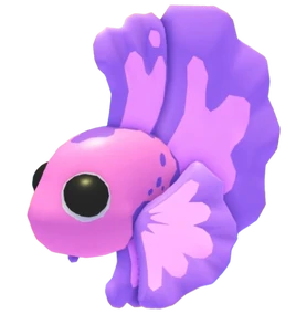 Pink Betta Fish