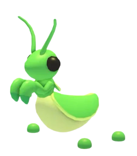 Praying Mantis