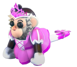 Princess Capuchin Monkey (Pet)