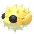 Puffer Fish