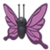 Purple Butterfly