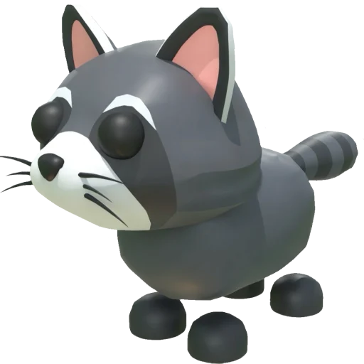 Raccoon