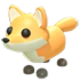 Red Fox