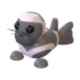 Ribbon Seal
