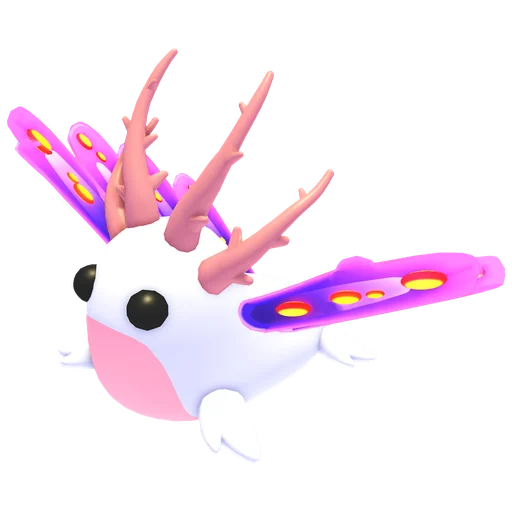 Sea Slug