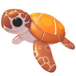 Sea Turtle