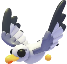 Seagull