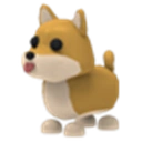 Shiba Inu