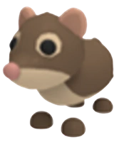 Shrew