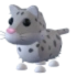 Snow Leopard