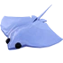 Stingray