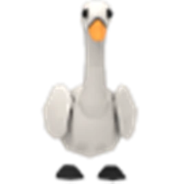 Swan