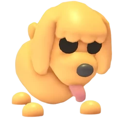Toy Poodle