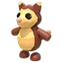 Tree Kangaroo