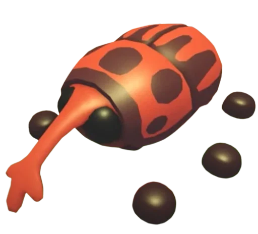 Weevil