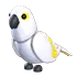 White Amazon