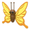 Yellow Butterfly