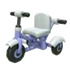 Trike Stroller (2022)